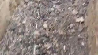 Defeated UKROP positions