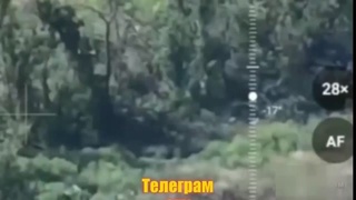 Flying Ukrainians