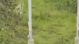 Glass Bridge