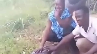 Apes & Nature
