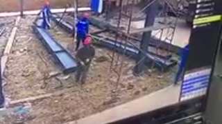 Happy to have OSHA where I live.