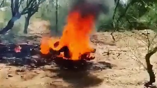 This is how forest fires start
