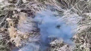 War in Ukraine