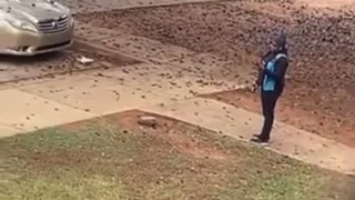Amazon delivery