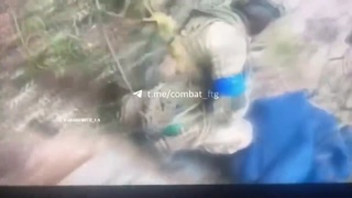 Finish Him !
