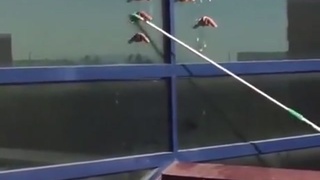 Weird Bird Shit