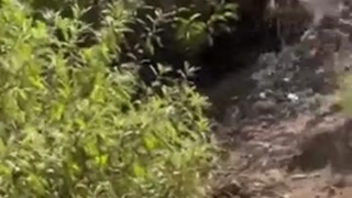 her panties smell a little like shit after this