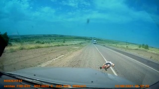 Stupid motorcyclist