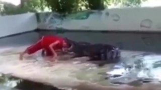 Darwin Awardee with crocodile