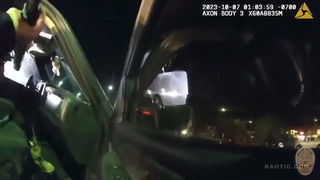 These security guards or cops