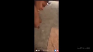 gorilla warfare
