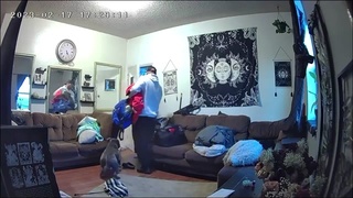 Couch warmer gets beat up and evicted .