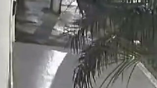 national force police officer is murdered in Rio de Janeiro
