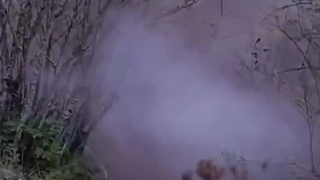 The Ukrainian soldier's last stand
