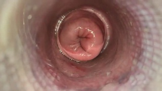 Inside the tube