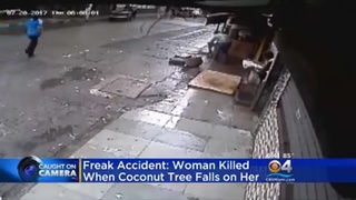 Slow news day