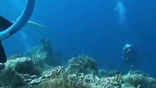 Under Water Earthquake