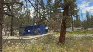 Poor Dog