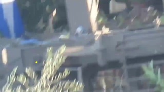 full footage of palestine fighter fighting the zionist army