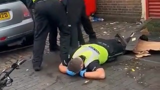 The Great British Police