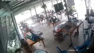 Fat Indian zapped