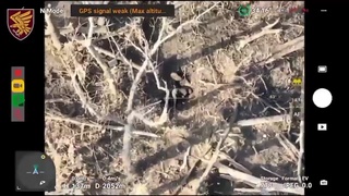 War in Ukraine