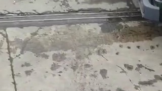 Work Smart ?