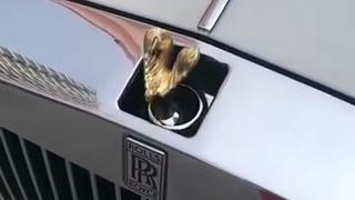 Burfurgers car