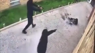 Dont fall down