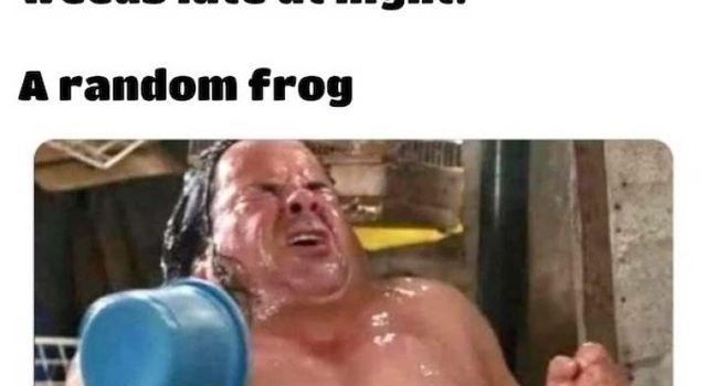Poor Little Frog