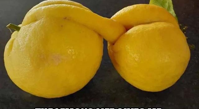 Those Fucking Lemons