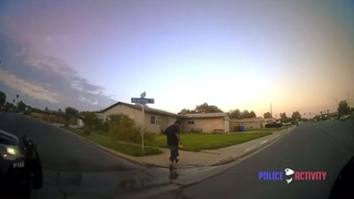 Brick vs Pistol