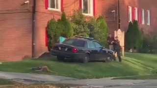 Punk police