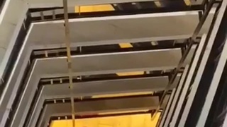 Spider Parkwish