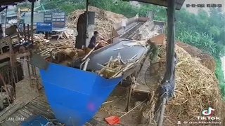 Twofer