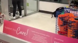 The Shame