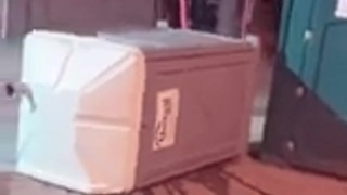 Porch pirate gets it