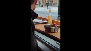 Thief gets shot by german police
