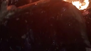 thief lynched and burned