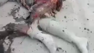 Damn, the woman was crushed from her waist