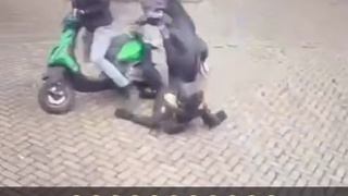 Surprise motherF