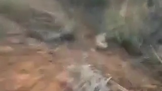 Woman burns alive in crash