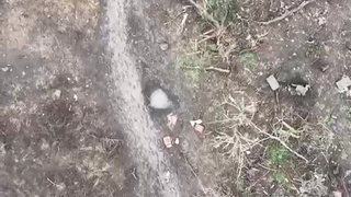 The last minute of average rusian bum