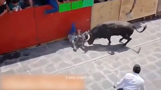 Bully Bully