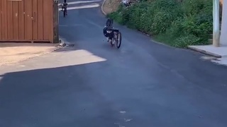 you can't even trust your bike anymore