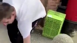 bubbles does not play