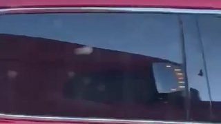 Distracted Driving