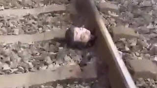 dismembered man on the train line