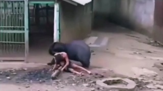 Black bear carries away man inside it's mouth