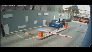 dumbass 4